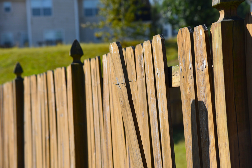 Fencing Repair
